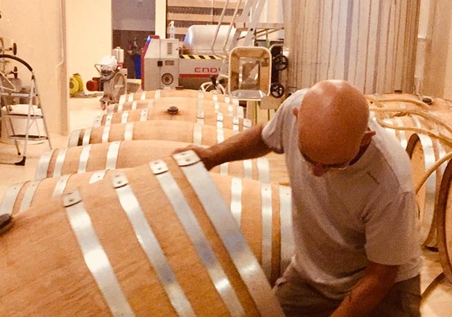 Pinot Noir 2018 Preparations Begin